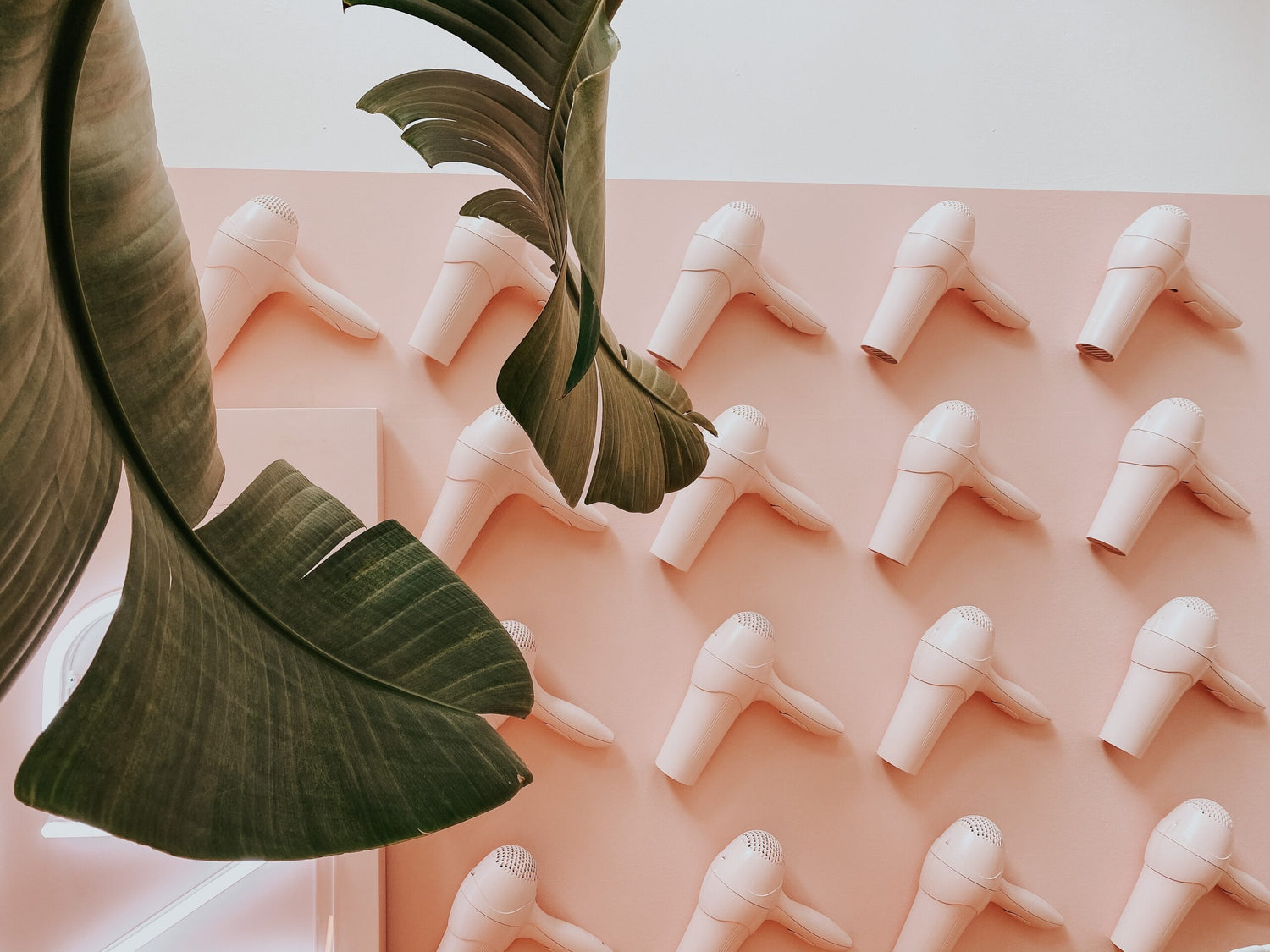 categoria_peluquería