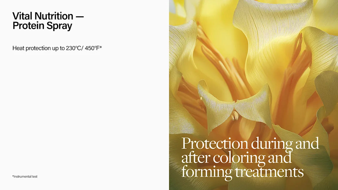 Tratamiento de Proteína Vital Nutrition