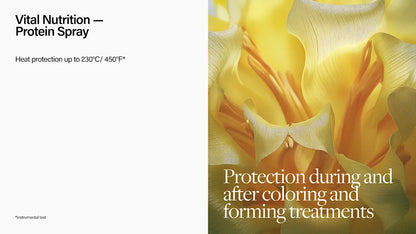 Tratamiento de Proteína Vital Nutrition